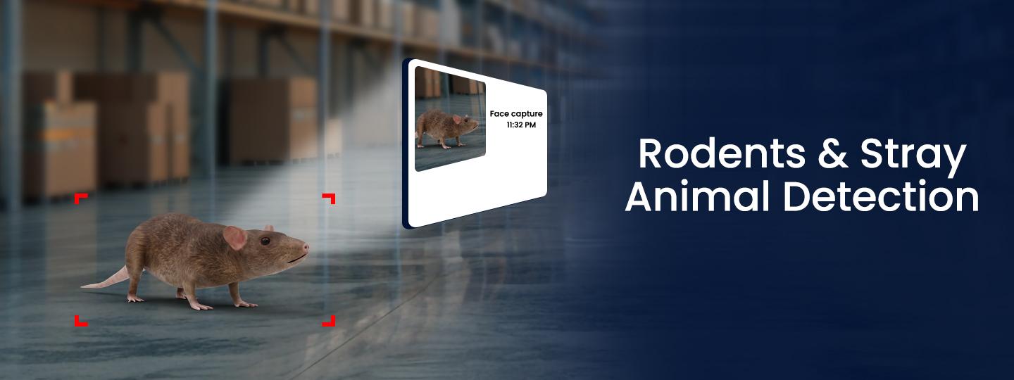 From Warehouses to Homes: How Hi-Focus AI Box Helps Control Rodents & Strays